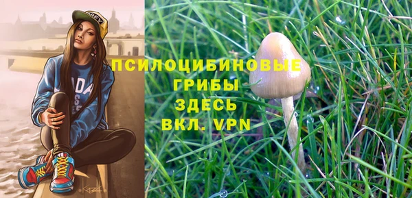 таблы Аркадак