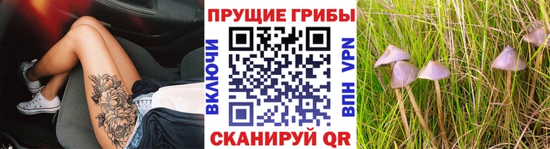 Псилоцибиновые грибы прущие грибы  hydra зеркало  Слободской 